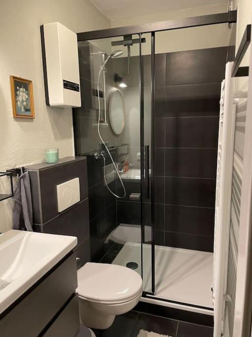 #1 Studioapartment Mit Loreleyblick Direkt An Der Schoensten Etappe Des Rheinsteigs Patersberg Zewnętrze zdjęcie